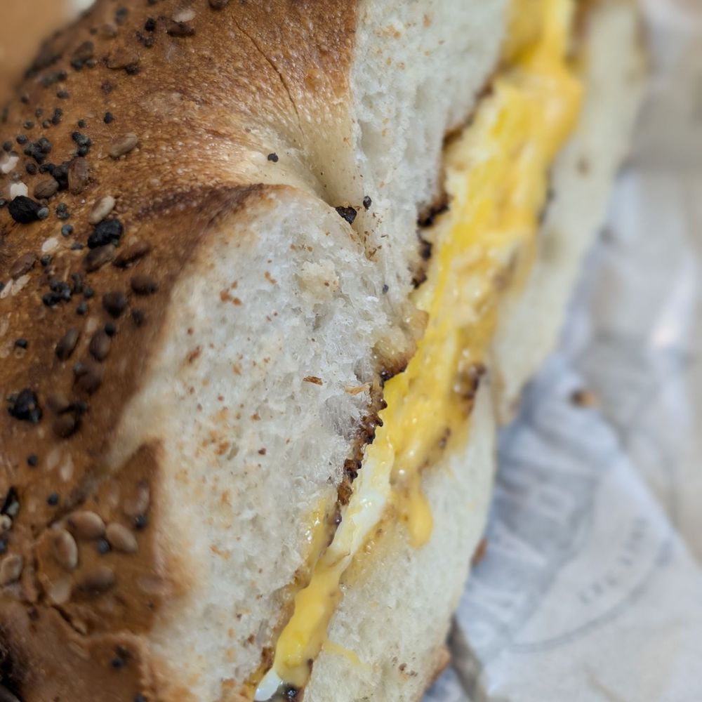 Pick A Bagel - Egg and cheese on everything bagel - Bagels Near Me - New York, New York Pick A Bagel - Egg and cheese on everything bagel - Bagels Near Me - New York, New York