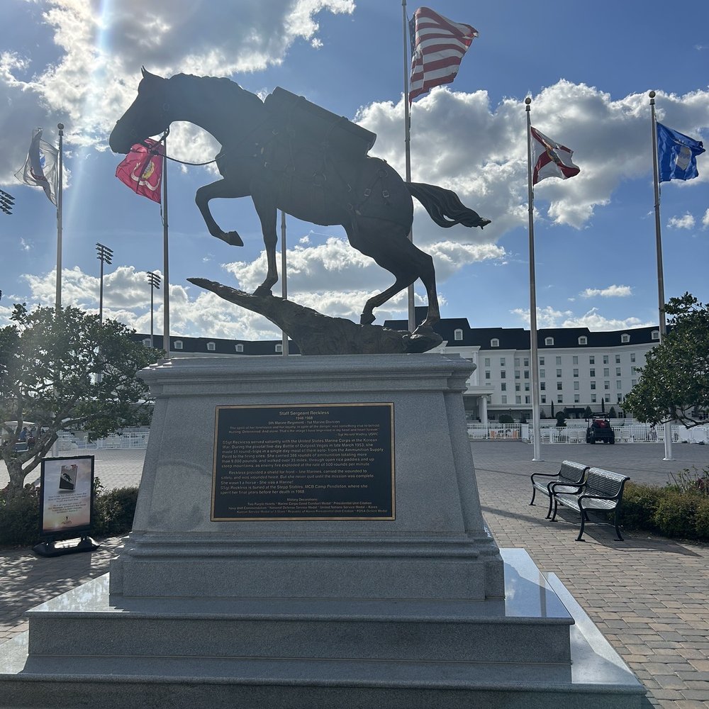 World Equestrian Center - Staff Sargent Reckless - Stadiums & Arenas Near Me - Ocala, Florida World Equestrian Center - Staff Sargent Reckless - Stadiums & Arenas Near Me - Ocala, Florida