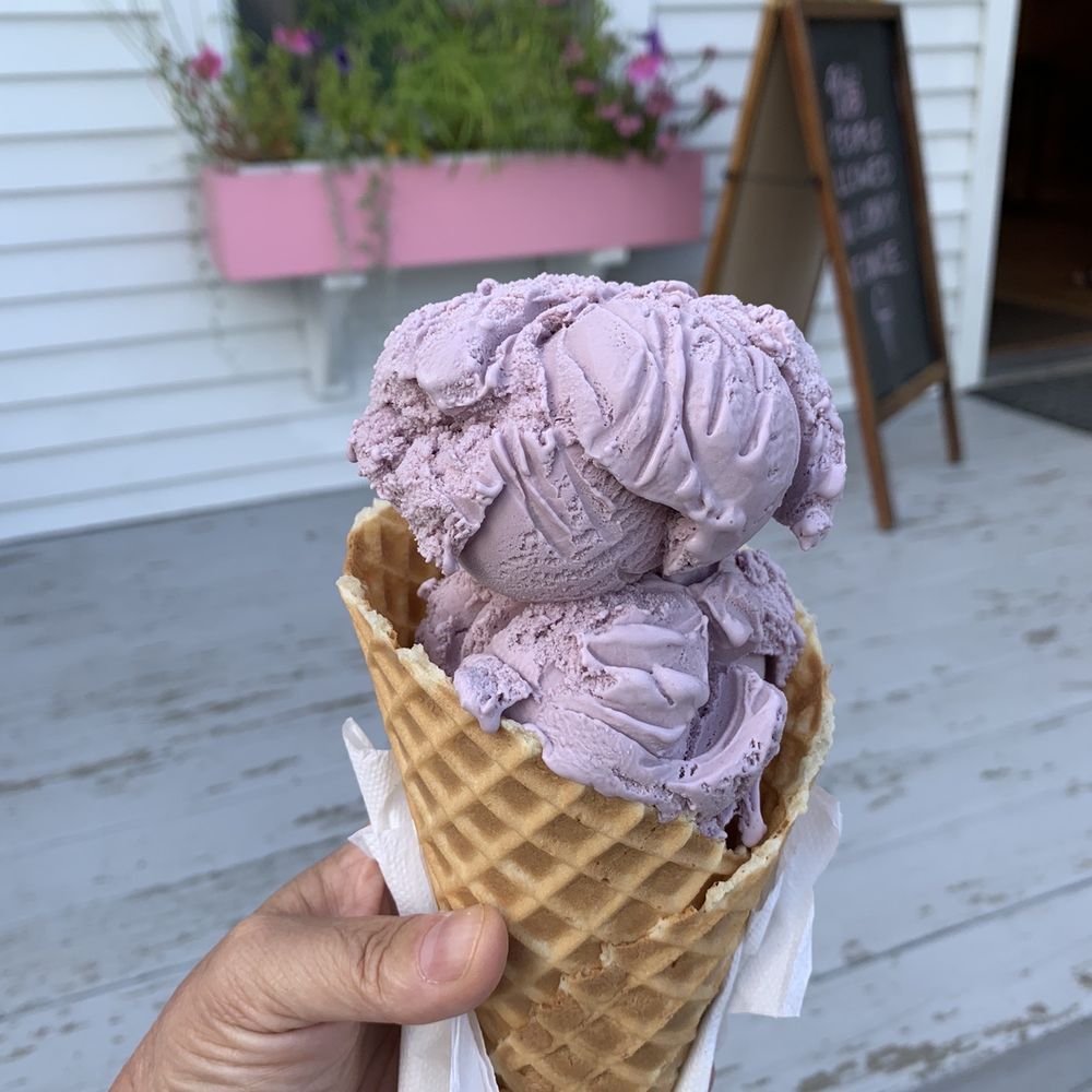 Scoop Deck - OMG this is a small! Black Raspberry on a Waffle Cone. Perfection. - Ice Cream & Frozen Yogurt Near Me - Wells, Maine Scoop Deck - OMG this is a small! Black Raspberry on a Waffle Cone. Perfection. - Ice Cream & Frozen Yogurt Near Me - Wells, Maine