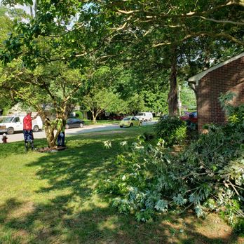Busy Beaver Tree Services - Tree Services Near Me Busy Beaver Tree Services - Tree Services Near Me