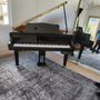 Photo of Advanced Piano Moving