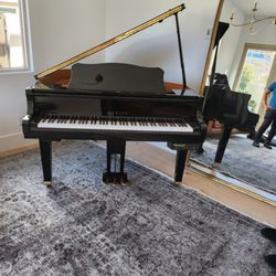 Advanced Piano Moving