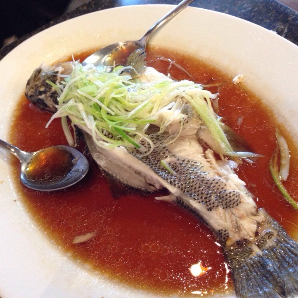 CF Cheng - Steamed bass!! - Chinese Near Me - Sacramento, California CF Cheng - Steamed bass!! - Chinese Near Me - Sacramento, California