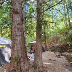 Chimney Rock Resort and Campground - Large campsite