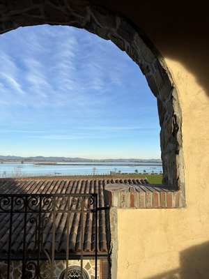 The Olive Press by null