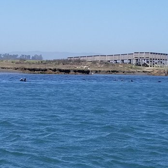 Kayak Connection - Rafting/Kayaking Near Me - Moss Landing, California Kayak Connection - Rafting/Kayaking Near Me - Moss Landing, California