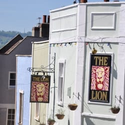 The Lion
