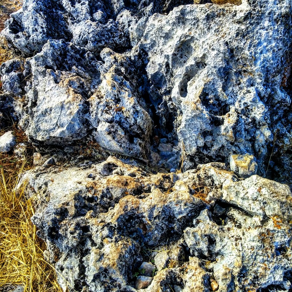 Black Mountain Trail - Closer look at the rocks. Didn't see any tarantulas - Hiking Near Me - Los Altos, California Black Mountain Trail - Closer look at the rocks. Didn't see any tarantulas - Hiking Near Me - Los Altos, California