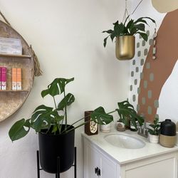 Juniper Esthetic