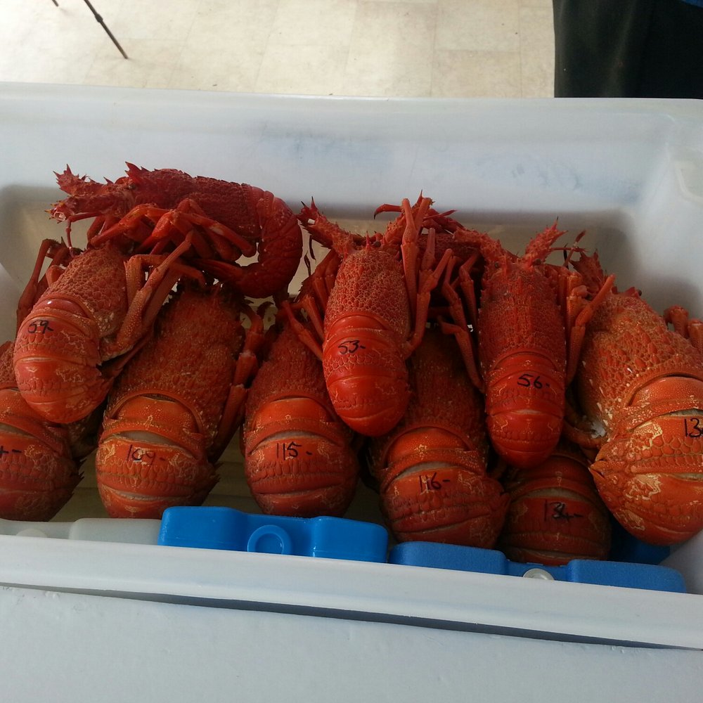 Nin's Bin - Crayfish waiting. Price is written on each. - Food Trucks Near Me - Kaikoura, CAN