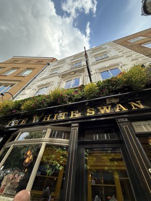 The White Swan by null