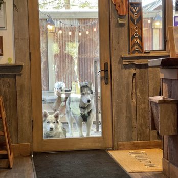 Tree House Café - Dog friendly - Coffee & Tea Near Me - Kings Beach, California Tree House Café - Dog friendly - Coffee & Tea Near Me - Kings Beach, California