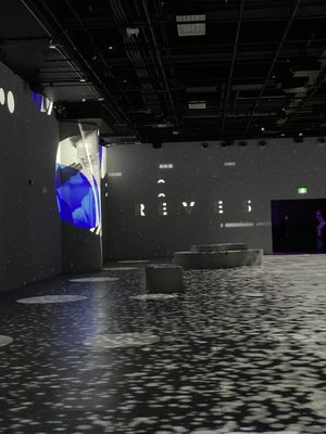 OASIS immersion by null