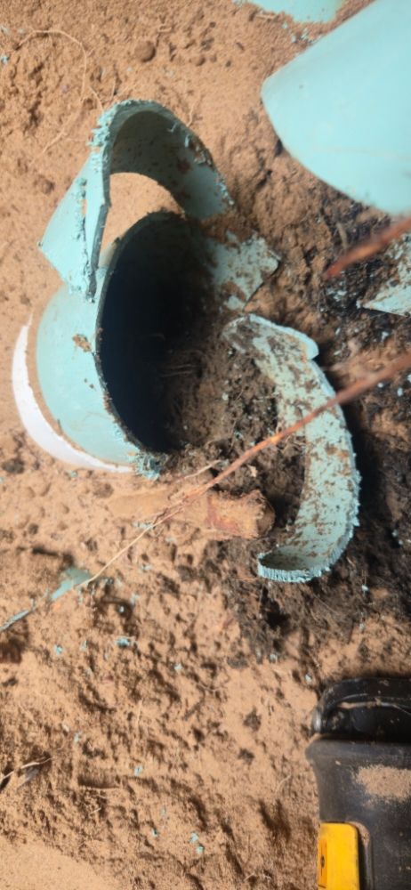 Slide of Rockin Rooter