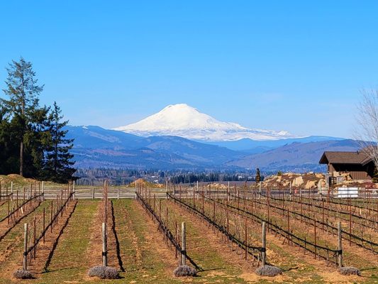 Stave & Stone Winery by null