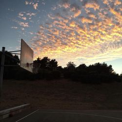 Louis Sutter Playground - (Throwback/12 years ago) Louis Sutter Playground BBall Court #SFCHoops | IG: _rayb415