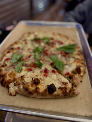 Fortunate Son by null Fortunate Son by null