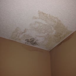 MOLD IN MY CEILING that instead of fixing, they're trying to sue us over.