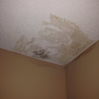 Quiet Waters Apartment Homes - MOLD IN MY CEILING that instead of fixing, they're trying to sue us over. - Apartments Near Me - Deerfield Beach, Florida