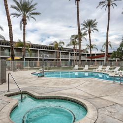 Banyan Palm Springs