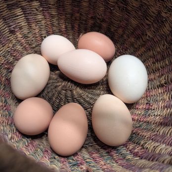 Broken Road Airbnb - Fresh eggs from our hosts - Vacation Rentals Near Me - San Marcos, Texas