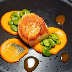 Violet - Seared scallop with carrot puree and fava beans