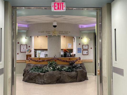 The Queen's Medical Center by null