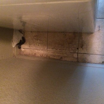 Ely Properties - Dirty upon move-in - Property Management Near Me - Austin, Texas Ely Properties - Dirty upon move-in - Property Management Near Me - Austin, Texas