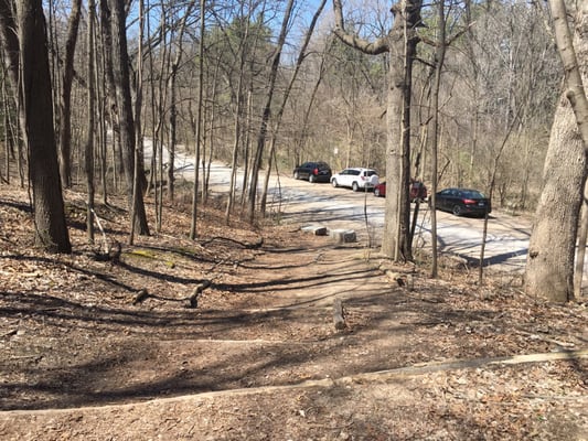 Bird Hills Nature Area by null