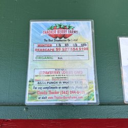 Thacker Berry Farms