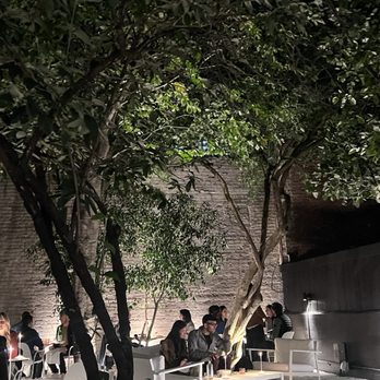 MISIPASTA - a group of people sitting at tables under a tree - Pasta Shops Near Me - Brooklyn, New York