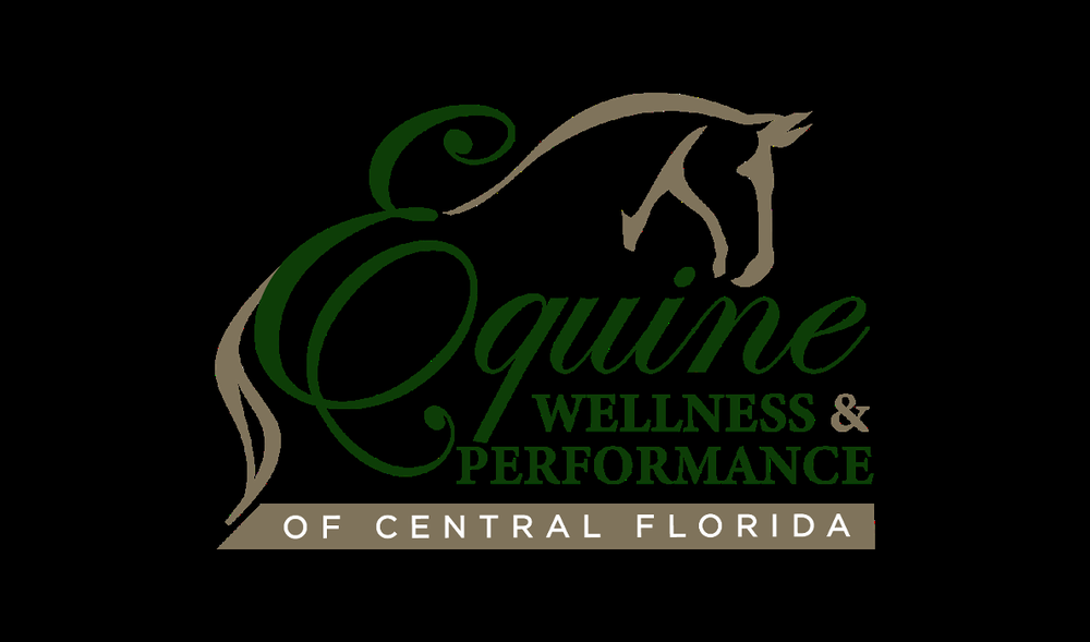 Equine Wellness and Performance of Central Florida Image