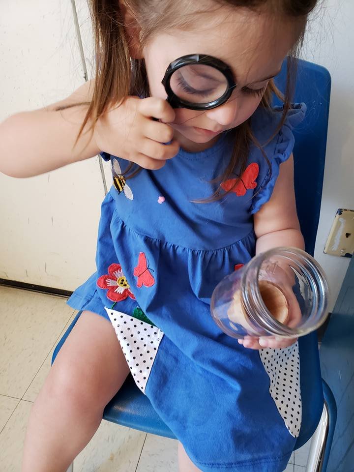 Fresno Jewish Day School - Private Preschool - social services organization in Fresno, CA