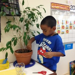 Vista Christian Preschool - Care of the environment