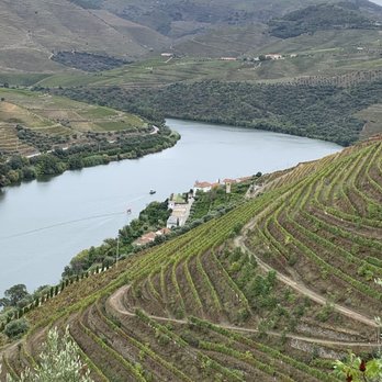 Quinta Das  Carvalhas - Wine Tasting Room Near Me - Vila Real, 17