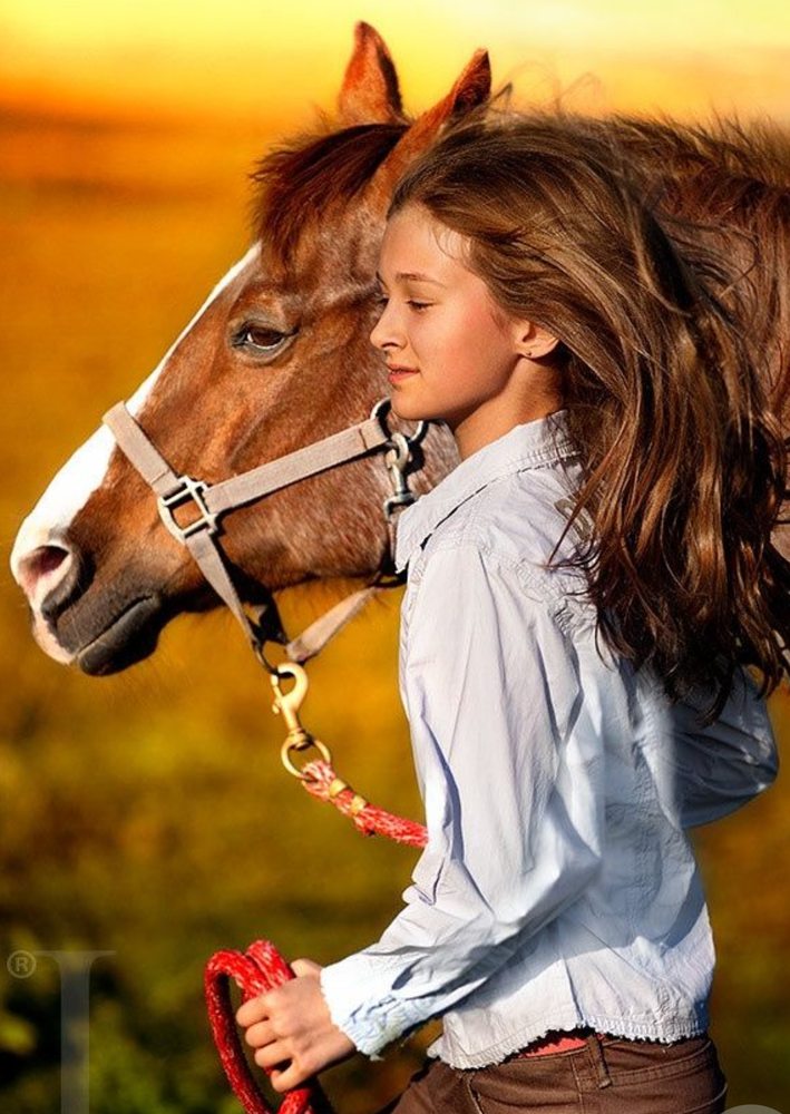 JUST A LITTLE HORSE FARM Updated September 2024 14 Photos 22