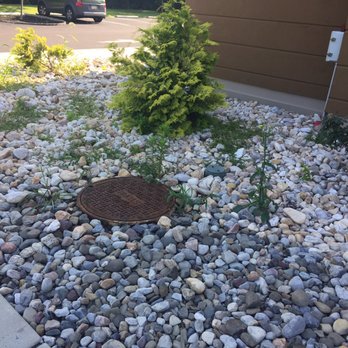 Hampton Inn Limerick-Philadelphia Area - Lots of weeds to admire out in front of the hotel - Hotels Near Me - Limerick, Pennsylvania Hampton Inn Limerick-Philadelphia Area - Lots of weeds to admire out in front of the hotel - Hotels Near Me - Limerick, Pennsylvania