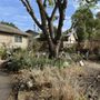Photo of We Care Tree Care