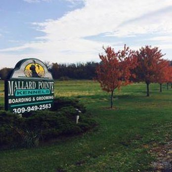 Mallard Pointe Kennels - untitled - Pet Groomers Near Me - Coal Valley, Illinois