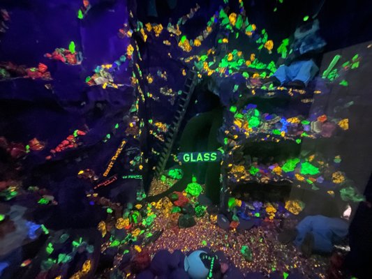 Mississippi Petrified Forest by null