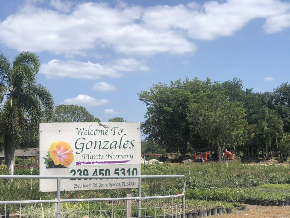 GONZALES PLANTS NURSERY Updated August 2024 12520 Tower Rd, Bonita