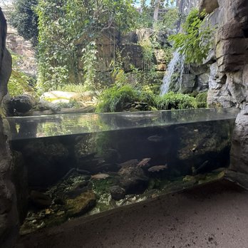 Tennessee Aquarium - Aquariums Near Me - Chattanooga, Tennessee Tennessee Aquarium - Aquariums Near Me - Chattanooga, Tennessee