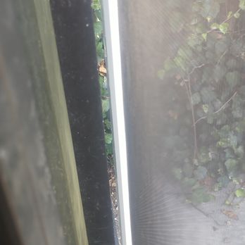 Best Window Screen Repair - gap between glass patio door and screen. You can see the ivy. - Windows Installation Near Me Best Window Screen Repair - gap between glass patio door and screen. You can see the ivy. - Windows Installation Near Me