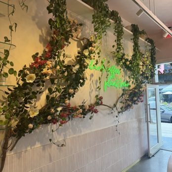 Coffee and Plants - Coffee & Tea Near Me - Studio City, California Coffee and Plants - Coffee & Tea Near Me - Studio City, California
