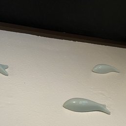 Wall fishes Wall fishes