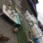 Photo of Cloud 9 Doggy Daycare