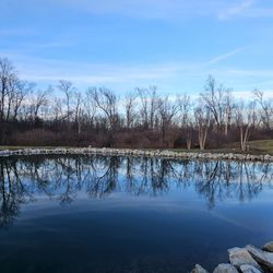 Russ Nature preserve