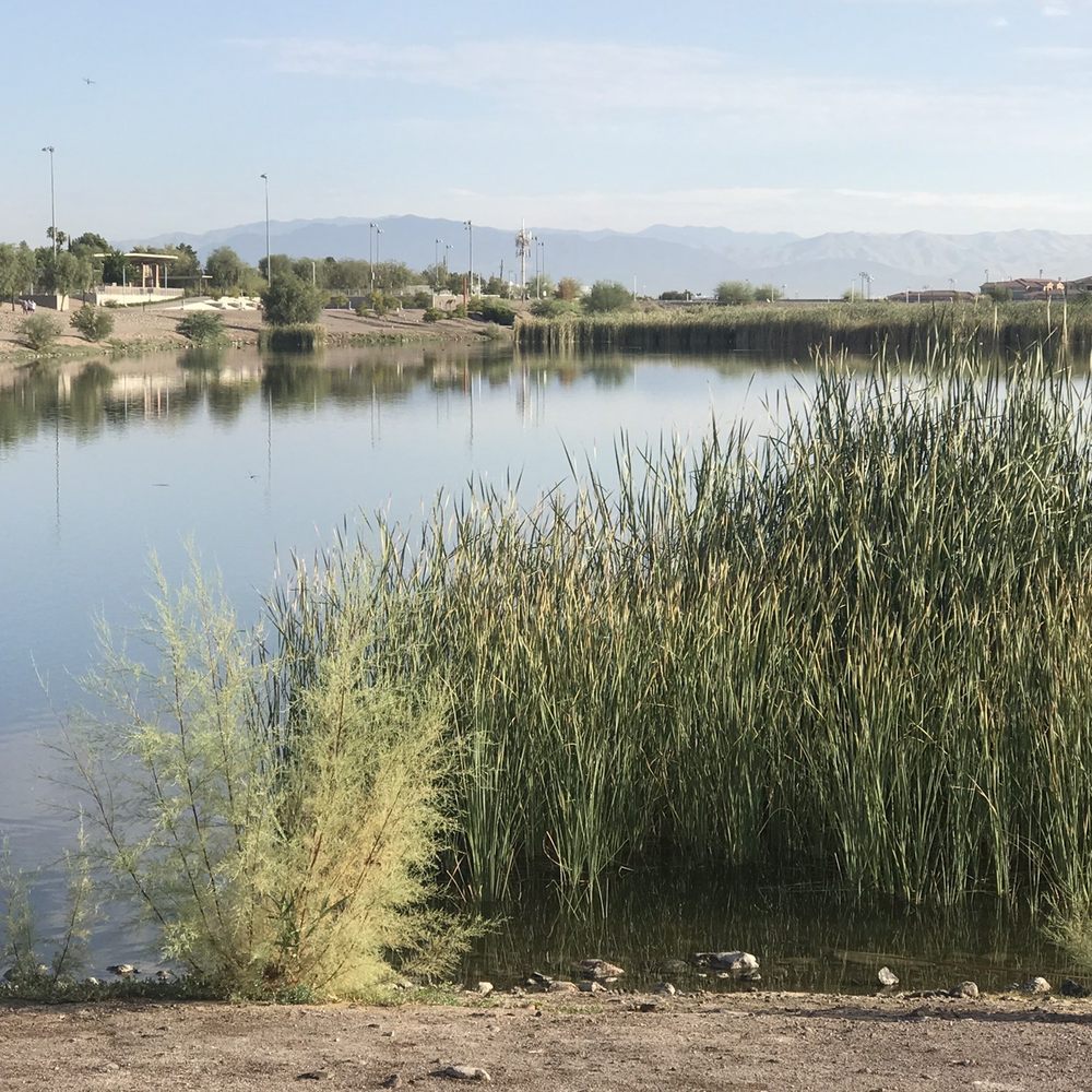 Cornerstone Park - Another beautiful view - Lakes Near Me - Henderson, Nevada