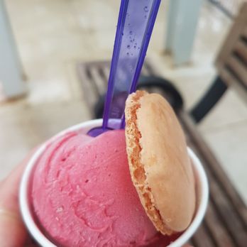 A Taste of Edmonton - Raspberry Sorbet Laduree Style  Fanfan Patisserie - Festivals Near Me - Edmonton, Alberta