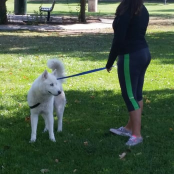 Matthew Meadows Park - Harmoni & Balto enjoying a quick walk before it's time for Good Eats! - Parks Near Me - Albuquerque, New Mexico